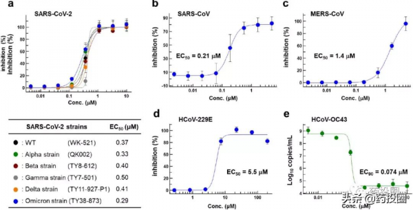 專利、利托那韋，輝瑞Paxlovid面臨雙重暴擊