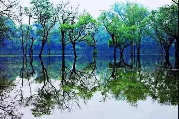 江西十大冷門景點，人少景美好玩