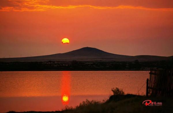 水鏡波光鴻影飛——阿旗沙壩天鵝掠影 水鏡波光鴻影飛——阿旗沙壩天鵝掠影
