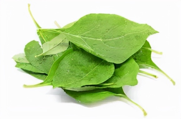 藥補不如食補,麥迪森健康:教您3個高血壓藥膳方 藥補不如食補,麥迪森健康:教您3個高血壓藥膳方