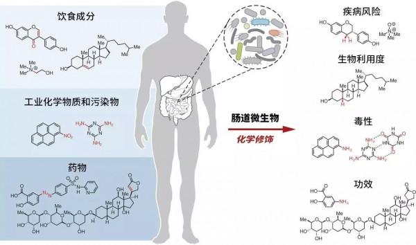 細菌在太空會變異，航天員滿身細菌，載人航天會造出無敵細菌嗎？