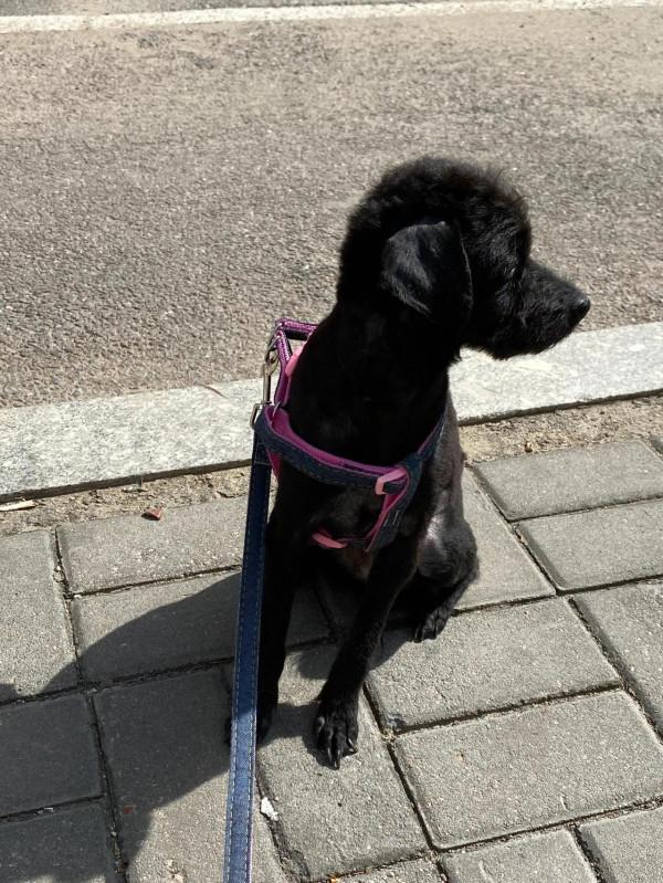 我和緣寶的故事