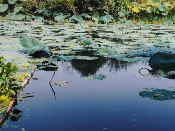 玩戶外釣魚這項運動一年了，還是比較燒錢的