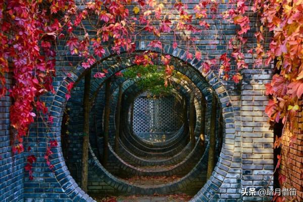 如果沒有疫情，此刻我勸你一定要去一趟北京...