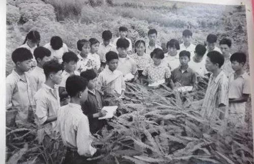 毛主席為什麼要堅持幹部“下放勞動”及試圖達到的目的種種