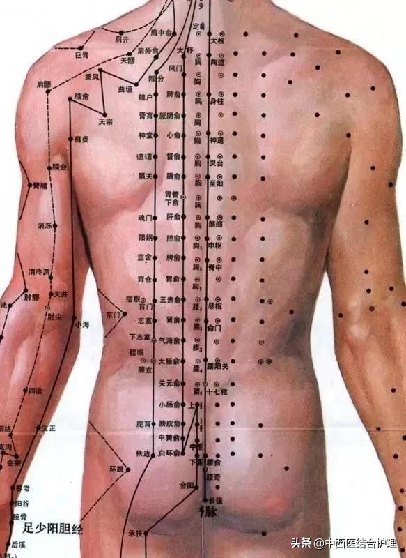 「經絡穴位養生科普」預防百種慢性疾病的妙法