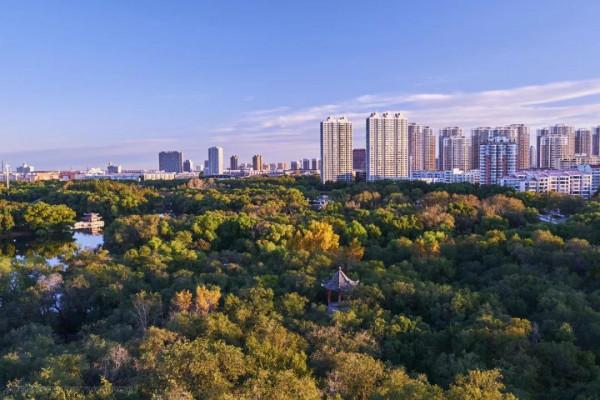 原來你是這樣的黑龍江