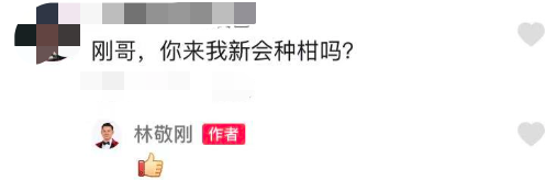 51歲港星定居內地開果園，佔地兩百畝產量超百萬斤，曾是金牌綠葉