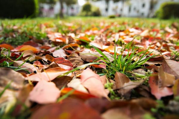 秋天容易睏乏,不妨常吃5種鹼性食物,美味營養,順利度過秋季 秋天容易睏乏,不妨常吃5種鹼性食物,美味營養,順利度過秋季
