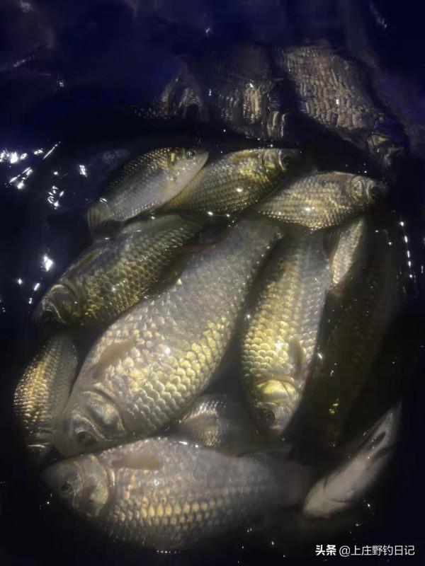 釣魚日記——2021年9月18日 釣魚日記——2021年9月18日