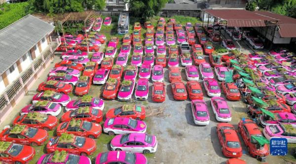 曼谷：疫情下出租車變“菜園”