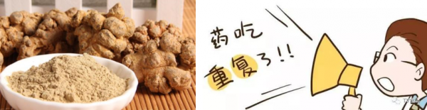 三七粉與血塞通的一場邂逅 三七粉與血塞通的一場邂逅