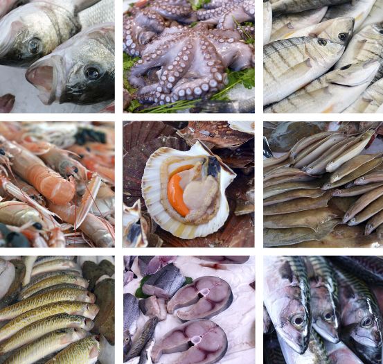 買魚時,懂行的人專買“這5種海魚”,無法人工養殖,看完長知識 買魚時,懂行的人專買“這5種海魚”,無法人工養殖,看完長知識