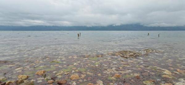 50元一天的撫仙湖岸邊小客棧，15元一公斤的小活蝦，體驗農家野趣