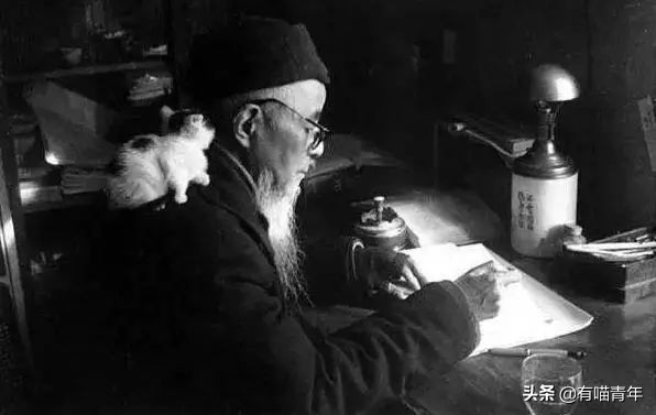 乾隆也太會給貓起名了！現代人只會：咪咪