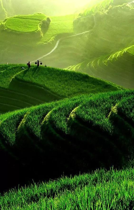 川西美景欣賞 川西美景欣賞