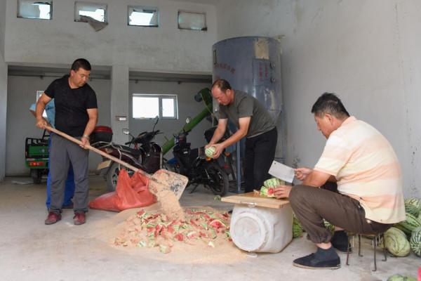 “走吧，你要學著自己長大”——瀕危野馬重返荒野20年