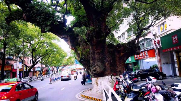 建陽古城:一座被埋沒在歷史煙塵中的古城,它的選址非常有代表性 建陽古城:一座被埋沒在歷史煙塵中的古城,它的選址非常有代表性