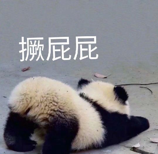 野釣河邊喜獲麥鯪，無人機組合圖案勝比煙火