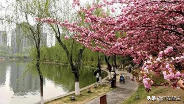 期待春天來了的時候，和你一日看盡長安花