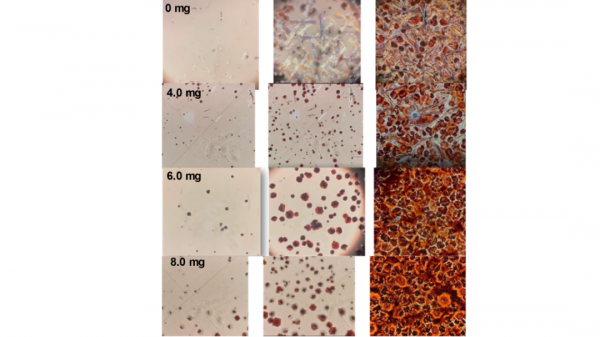 中科院胡林華團隊提升鈣鈦礦電池自愈能力，對產業化製備太陽能電池有重要意義