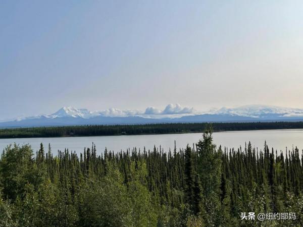 2021 阿拉斯加自駕遊（10）荒野外的荒野Wrangell國家公園