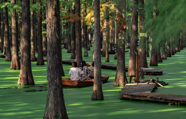 2022你的旅行清單是什麼？10個值得去的旅行地，有在你的清單嗎？