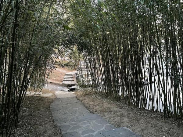 北京免費又熱鬧的紫竹院公園