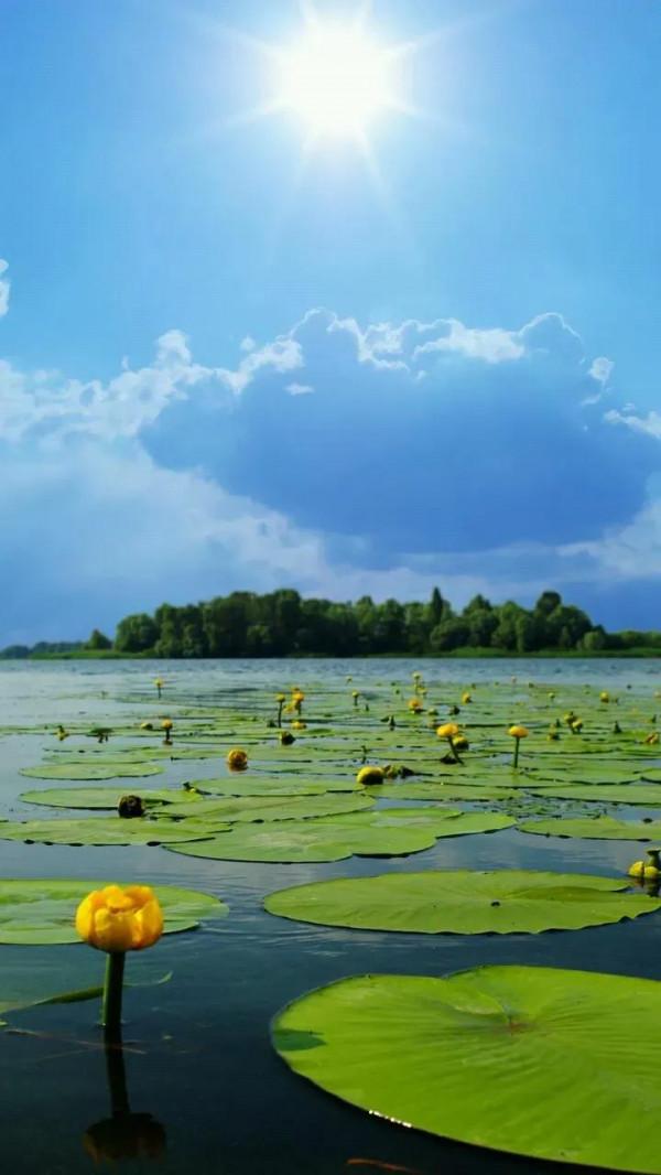 絕美西湖美景太美了