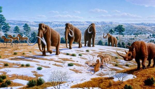 過去150萬年，哺乳動物平均體重狂降98%，誰是真正的罪魁禍首？