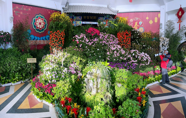 京城最早春花美景！春節假期來中山公園賞名人名蘭