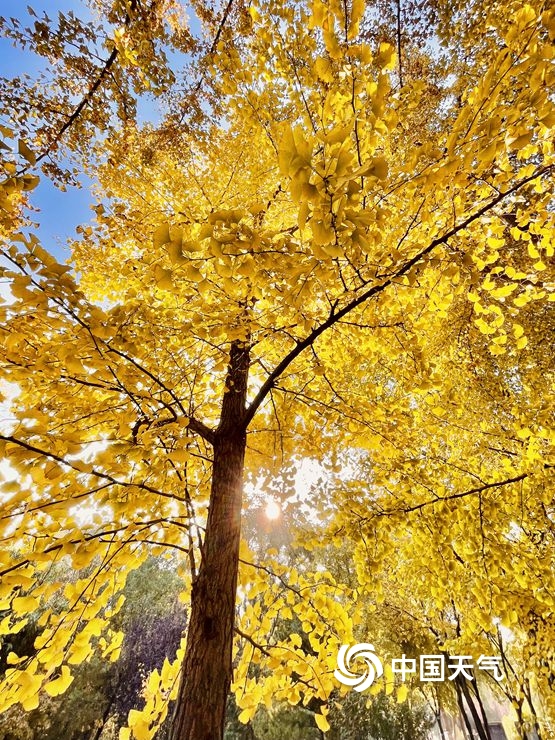 金秋十月 祖國南北方景緻大不同