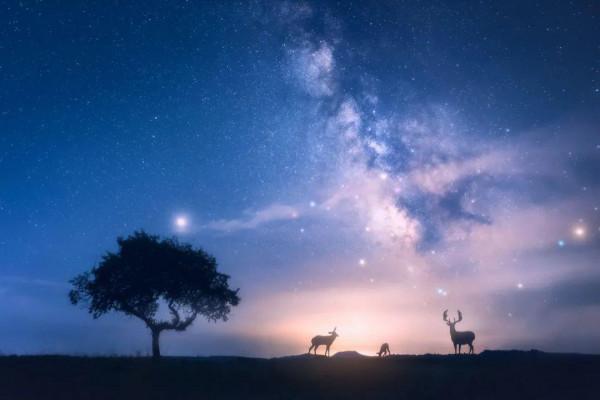 夜讀｜十二字以內的“神仙短句”，絕