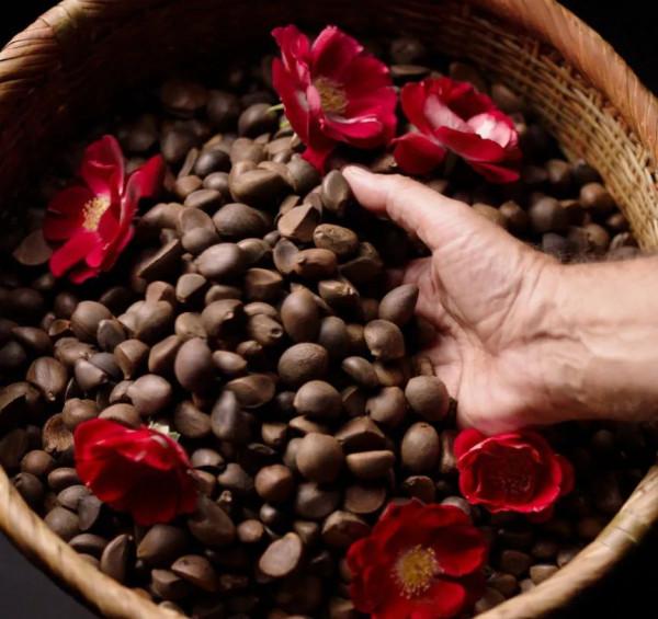 藏不住了,沉浸式美好生活清單 藏不住了,沉浸式美好生活清單