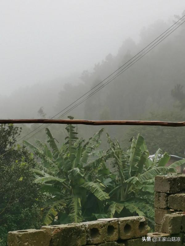 廣西深山美景，這是傳說中的仙境嗎？