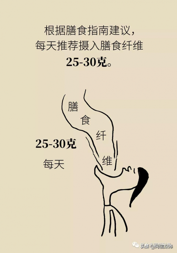 真的有能越吃越瘦的食物？真有！