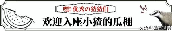 5位&OpenCurlyDoubleQuote;大咖&rdquo;一人毀一部劇，今年賀歲沈騰、成龍王炸演員也難迴天