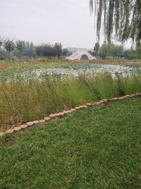 人在旅途之一票難求 人在旅途之一票難求