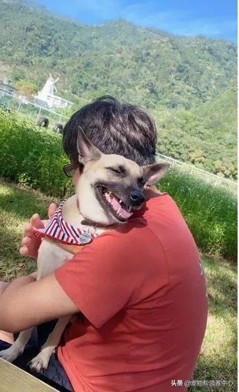 狗狗蹲坐在門口等爸爸4小時，爸爸一回家秒變嚶嚶怪：我好想你