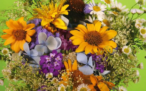 1周後,貴人相助,好運不絕,事業騰飛,步步高昇,終於苦盡甘來 1周後,貴人相助,好運不絕,事業騰飛,步步高昇,終於苦盡甘來