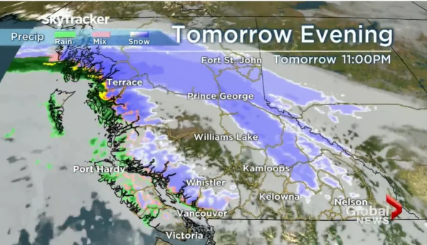 全球極端天氣 巴基斯坦暴風雪活活凍死22人 一家8口全喪命 全球極端天氣 巴基斯坦暴風雪活活凍死22人 一家8口全喪命