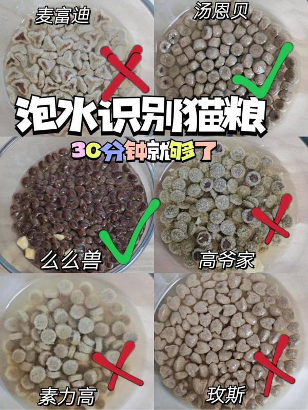 如何識別貓糧好壞 不要踩雷啊