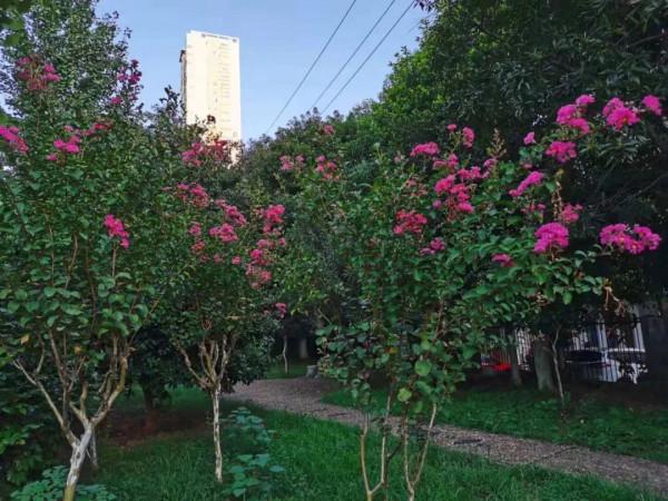 當孩子覺得父母不愛自己,其實是父母根本不知道怎麼愛自己 當孩子覺得父母不愛自己,其實是父母根本不知道怎麼愛自己