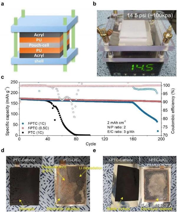 EnSM&colon;雙功能隔膜設計實現高吸液率和鋰離子遷移數