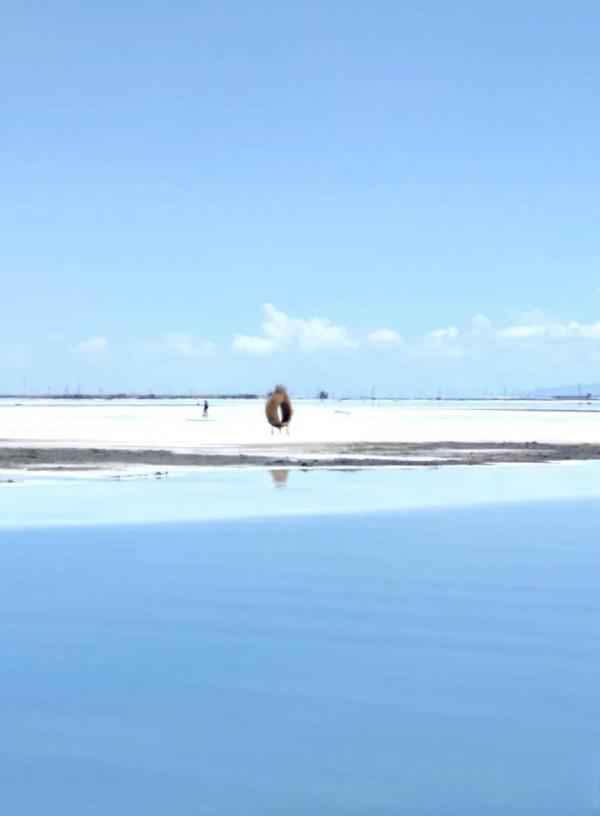 中國的天空之鏡，人一生要去的55個地方之一一茶卡鹽湖