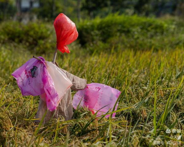 「視覺廣東」稻草人