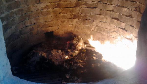 2006年，韓國女學霸聚餐後失蹤，電腦留下詭異搜尋記錄，細思極恐