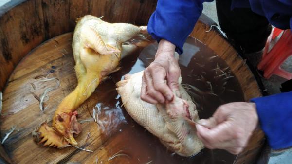 一個鍋子、一湯、一份米飯共163元,這樣的農家樂你還會去吃嗎? 一個鍋子、一湯、一份米飯共163元,這樣的農家樂你還會去吃嗎?