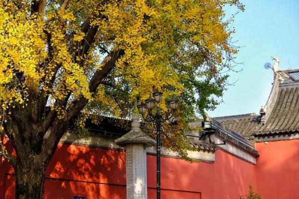 既有悠悠歷史，又有俗世煙火，來南京看看吧