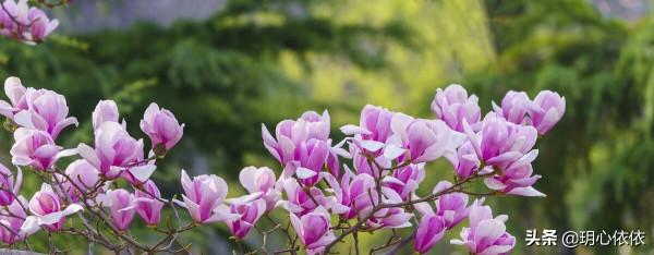 做好這三點，掌握人生的方向盤，活出純粹真我